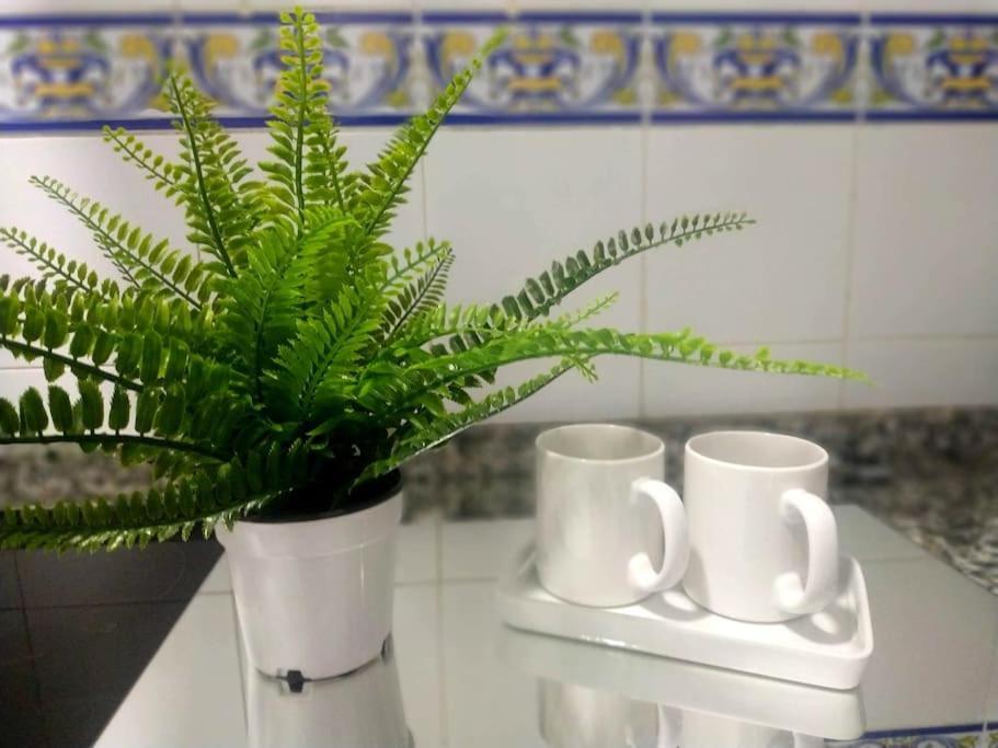 Apartamento Las Canastas Cadiz Centro Buitenkant foto